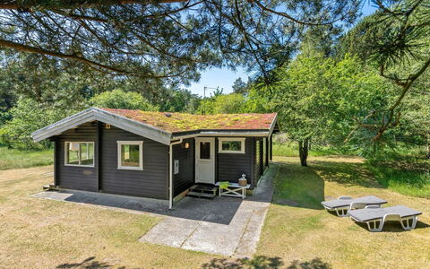Tuba - 600M from the Sea: Haus, Zuhause, Wohngebiet, Dach, Hütte, Grundstueck, Estate, Garten, Garten, Abstellgleis