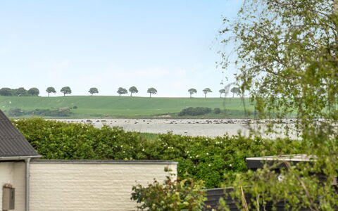 Jenny - 140M from the Sea: Strauch, Landschaft, Grundstueck, Hütte, Garten, Landscaping, Plantage, Rasen, Hecke