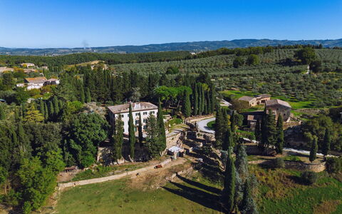 Villa Staggia: Baum, Landschaft, Strauch, Estate, Villa, Landscaping, Immergrün, Plantage