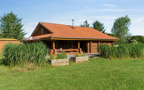 Elsia - 1.5Km to the Fjord: Die Architektur, Dach, Zuhause, Verbundwerkstoff, Daylighting, Abstellgleis, Auffahrt