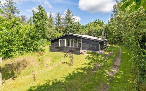 Vitus - 30Km from the Sea: Dach, Haus, Zuhause, Hütte, Tür, Abstellgleis, Deck, Veranda, Planke, Hartholz