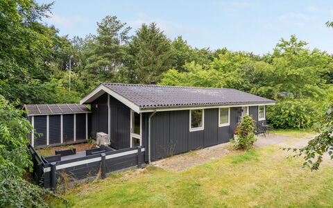 Massie - 30Km from the Sea: Hütte, Zuhause, Haus, Dach, Veranda, Estate, Abstellgleis, Gartenbauten, Bauernhaus, Garten