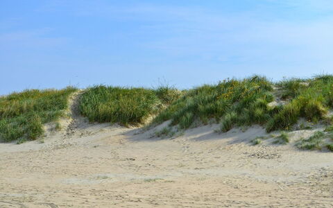 Kerlin - 500M from the Sea: Blau, Strauch, Hütte, Ground, Garten, Estate, Schatten, Landscaping, Bauernhaus, Eco Hotel