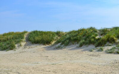 Kerlin - 500M from the Sea