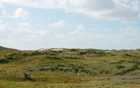 Apostol - 500M from the Sea: Blau, Strauch, Hütte, Ground, Garten, Estate, Schatten, Landscaping, Bauernhaus, Eco Hotel