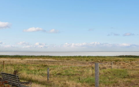 Baltser - 5Km from the Sea: Blau, Strauch, Hütte, Ground, Garten, Estate, Schatten, Landscaping, Bauernhaus, Eco Hotel