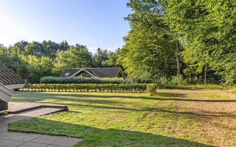 Leonard - 30Km from the Sea: Baum, Grün, Gras, Blatt, Strauch, Garten, Landschaft, Grundstueck, Ground, Rasen