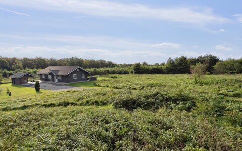Quanna - 30Km from the Sea: Die Architektur, Dach, Zuhause, Verbundwerkstoff, Daylighting, Abstellgleis, Auffahrt