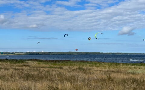 Ilene - 1Km from the Sea: 