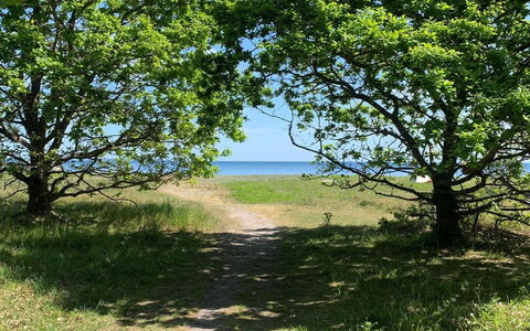 Lelle - 350M from the Sea: Schwimmbad, Gartenmöbel, Möbel, Resort, Flagstone, Eco Hotel, Schatten, Stuhl, Freizeit, Estate