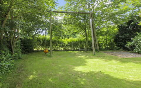 Claudia: Gras, Grün, Blatt, Garten, Strauch, Grundstueck, Schatten, Ground, Rasen