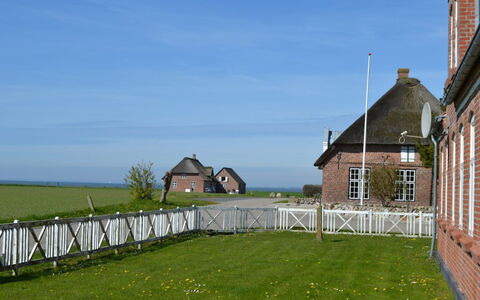 Adine - 13Km from the Sea: Blau, Strauch, Hütte, Ground, Garten, Estate, Schatten, Landscaping, Bauernhaus, Eco Hotel