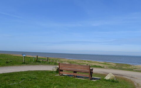 Adine - 13Km from the Sea: Blau, Strauch, Hütte, Ground, Garten, Estate, Schatten, Landscaping, Bauernhaus, Eco Hotel