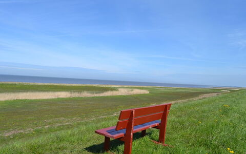 Adine - 13Km from the Sea: Blau, Strauch, Hütte, Ground, Garten, Estate, Schatten, Landscaping, Bauernhaus, Eco Hotel