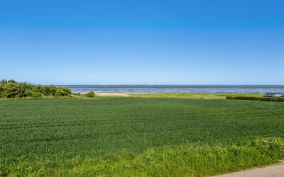 Kielo - 10Km from the Sea