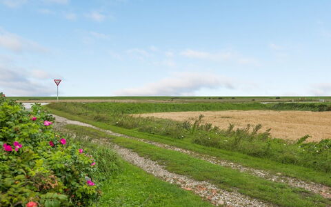Clausina - 600M from the Sea: Blau, Strauch, Hütte, Ground, Garten, Estate, Schatten, Landscaping, Bauernhaus, Eco Hotel