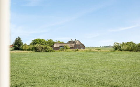 Iina - 13Km from the Sea: Blau, Strauch, Hütte, Ground, Garten, Estate, Schatten, Landscaping, Bauernhaus, Eco Hotel