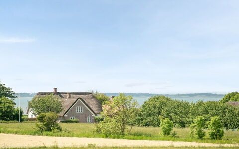 Iina - 13Km from the Sea: Grün, Gras, Natürliche Landschaft, Landschaft, Grundstueck, Ländliches Gebiet, Hütte, Wiese, Rasen