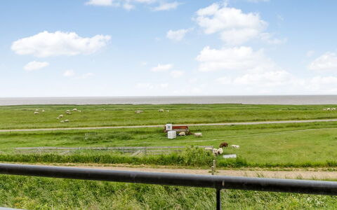 Anthonie: Gras, Wiese, Landschaft, Ökoregion, Einfach, Pflanzengemeinschaft, Grundstueck, Gartenmöbel, Prärie, Shrubland
