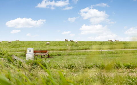 Anthonie: Gras, Wiese, Landschaft, Ökoregion, Einfach, Pflanzengemeinschaft, Grundstueck, Gartenmöbel, Prärie, Shrubland