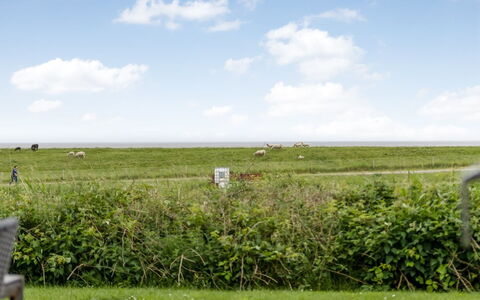 Anthonie: Gras, Wiese, Landschaft, Ökoregion, Einfach, Pflanzengemeinschaft, Grundstueck, Gartenmöbel, Prärie, Shrubland