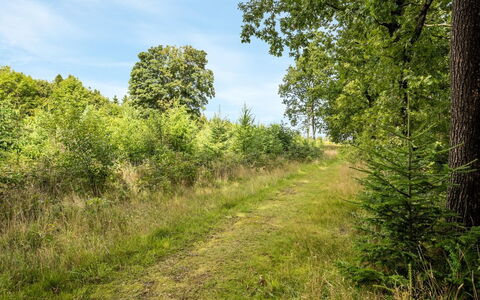 Rasmus - 29Km from the Sea: Wohngebiet, Dach, Vorort, Auffahrt, Estate, Kamin