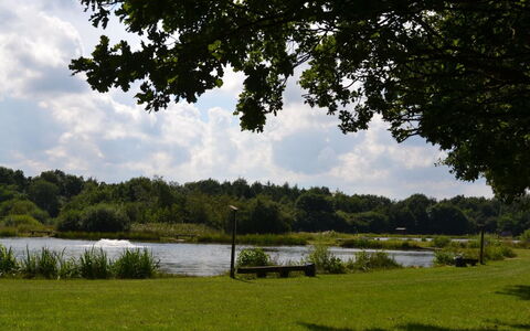 Swenki - 29Km from the Sea: Möbel, Interior Design, Stuhl, Flooring, Tabelle, Resort, Fussboden, Decke, Zimmer, Eco Hotel