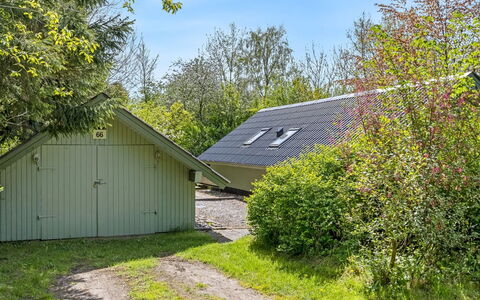 Hilla - 31Km from the Sea: Strauch, Hütte, Garten, Gartenbauten, Schuppen, Rasen, Garten, Landscaping, Schatten, Hinterhof