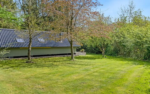 Hilla - 31Km from the Sea: Gras, Strauch, Grundstueck, Garten, Einfach, Ground, Rasen, Hütte, Schatten