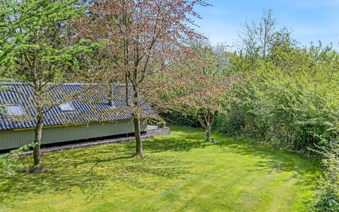 Hilla - 31Km from the Sea: Gras, Strauch, Garten, Grundstueck, Ground, Rasen, Frühling, Hinterhof, Hütte