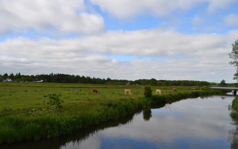 Josina - 32Km from the Sea: Himmel, Wasservorräte, Wasser, Gewässer, Natürlichen Umgebung, Natur, Natürliche Landschaft, Wasserweg, Grün, Wolke