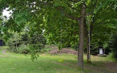Josina - 32Km from the Sea: Blatt, Baum, Ast, Kofferraum, Naturschutzgebiet, Gehölz, Rasen, Garten, Wald, Schatten