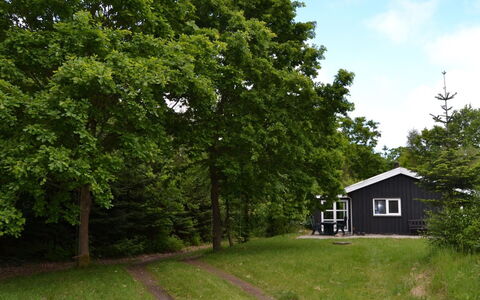 Josina - 32Km from the Sea: Blatt, Ast, Zuhause, Hütte, Rasen, Schatten, Schuppen, Garten, Gartenbauten, Garten