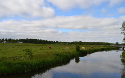 Josina - 32Km from the Sea