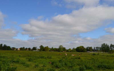 Josina - 32Km from the Sea