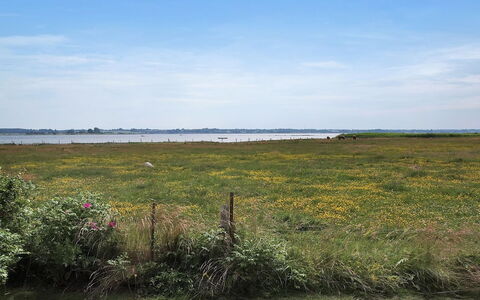 Jeip - 400M to the Fjord: Himmel, Blau, Grün, Natürlichen Umgebung, Gras, Horizont, Wiese, Natürliche Landschaft, Ökoregion, Einfach