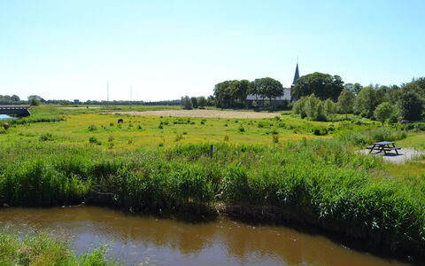 Ahvo - 22Km from the Sea: Wasser, Wasservorräte, Gras, Natürlichen Umgebung, Grün, Natürliche Landschaft, Sumpf, Wiese