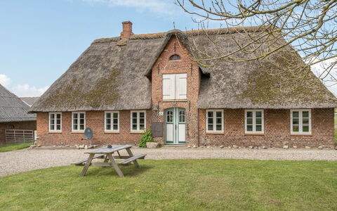 Inda - 10Km from the Sea: Gras, Haus, Dach, Zuhause, Hütte, Strauch, Grundstueck, Ländliches Gebiet, Bauernhaus, Ground