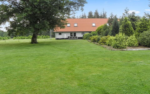 Beatha - 25Km to the Fjord: Gras, Baum, Strauch, Wiese, Rasen, Garten, Grundstueck, Einfach