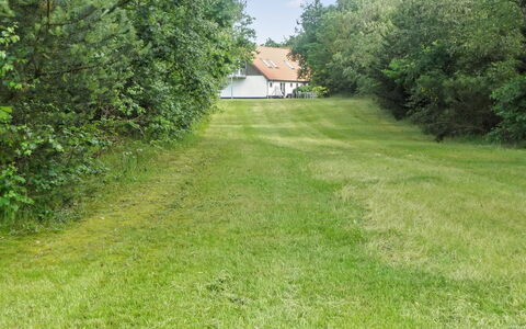 Beatha - 25Km to the Fjord: Gras, Baum, Wiese, Strauch, Grundstueck, Rasen, Ground, Wiese