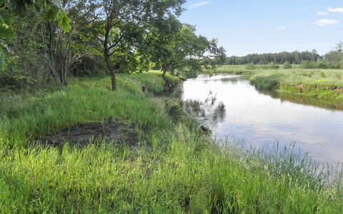 Beatha - 25Km to the Fjord: Himmel, Wasservorräte, Wasser, Gewässer, Gras, Natürliche Landschaft, Natürlichen Umgebung, Sumpf, Natur, Grün