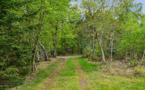 Niglæs - 700M from the Sea: Schwimmbad, Gartenmöbel, Möbel, Resort, Flagstone, Eco Hotel, Schatten, Stuhl, Freizeit, Estate