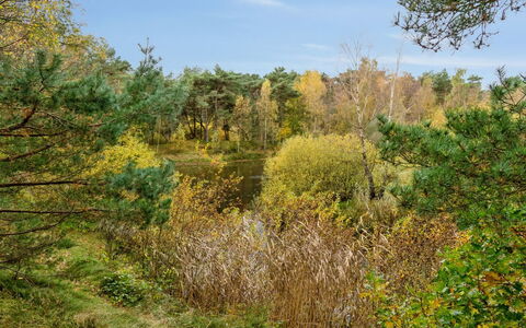 Menke - 150M from the Sea: Dach, Haus, Grundstueck, Zuhause, Hütte, Estate, Gartenbauten, Schatten, Blockhaus, Landscaping