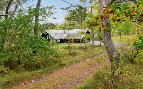 Menke - 150M from the Sea: Dach, Haus, Grundstueck, Zuhause, Hütte, Estate, Gartenbauten, Schatten, Blockhaus, Landscaping