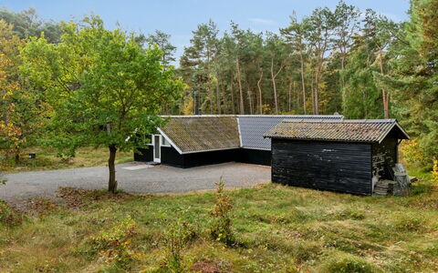 Menke - 150M from the Sea: Haus, Hütte, Dach, Zuhause, Abstellgleis, Estate, Bauernhaus, Gartenbauten, Rasen, Garten