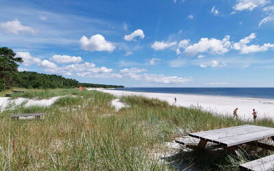 Menke - 150M from the Sea