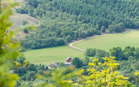 Drumnadrochit 121: Pflanze, Baum, Natürliche Landschaft, Grundstueck, Blume, Biome, Steigung, Bergforms, Einfach