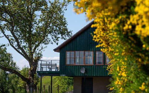Drumnadrochit 121: Pflanze, Himmel, Eigentum, Gebäude, Natur, Blatt, Natürliche Landschaft, Blume, Baum, Gelb