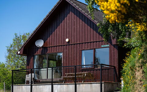 Drumnadrochit 121: Pflanze, Himmel, Botanik, Holz, Baum, Blume, Gelb, Hütte, Tür, Ländliches Gebiet