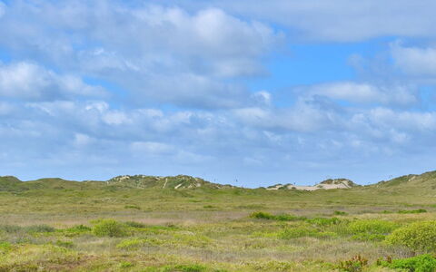 Sohvi - 450M from the Sea: Himmel, Blau, Gras, Wiese, Natürlichen Umgebung, Wolke, Grün, Vegetation, Ökoregion, Weide